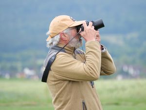 Thomas Flugs wird Beobachtet