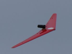 Impellerhorten